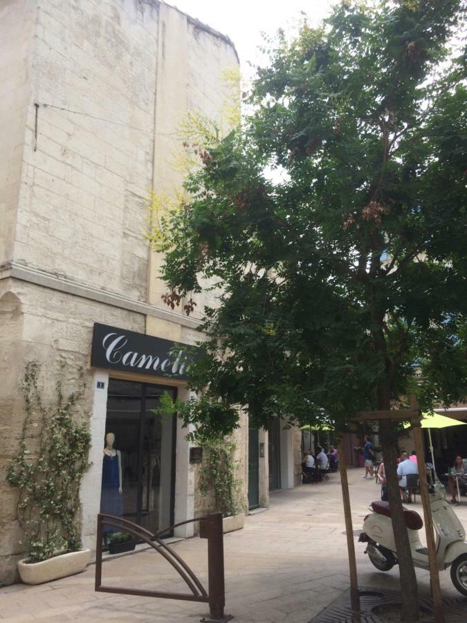 Nostradamus Apartment Saint-Remy-de-Provence Exterior photo